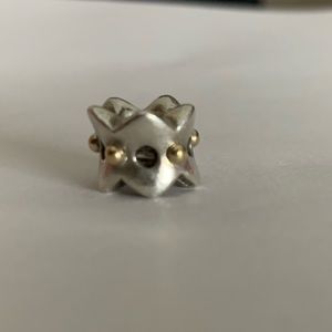 Pandora charm